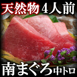 天然極上 南鮪（ミナミマグロ）中トロ　 4人前 400g/鮪【ギフト】