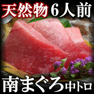 天然極上 ミナミマグロ　中トロ　6人前 600g/鮪【ギフト】