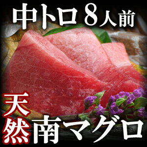 天然極上ミナミマグロ　中とろ　 8人前 800g/鮪【ギフト】