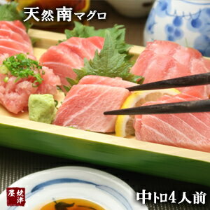 天然極上 南鮪（ミナミマグロ）中トロ　 4人前 400g/鮪【ギフト】