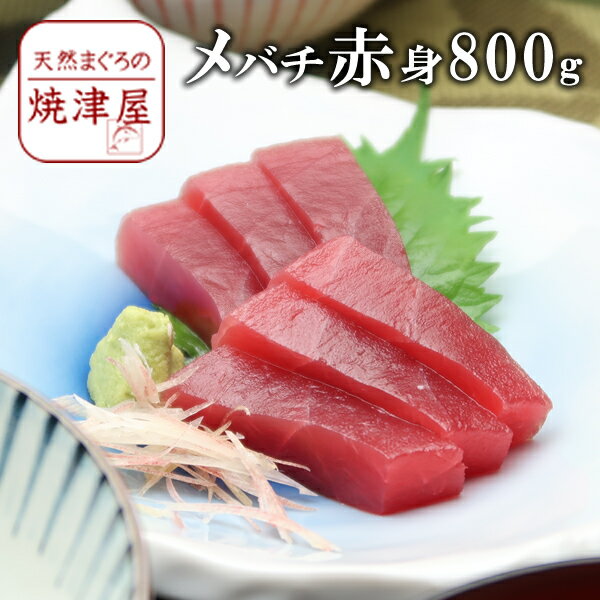 メ バチマグロ（めばちまぐろ）赤身 8人前（約800g）【送料無料】沖縄へは700円加算 極上品 天然物 父の日 ギフト プレゼント おつまみ 海鮮 グルメ ランキング