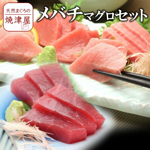 商品詳細 メバチマグロ赤身　200g　焼津港水揚 メバチマグロ中トロ　200g　焼津港水揚 賞味期限冷凍 1週間　　解凍後冷蔵3日お届け日時在庫がある場合→即日発送在庫がない場合→入荷後発送注文日より4日後からのお届け指定が可能です。 ギフト対応 ギフト対応について メッセージカード メッセージカードをお付けしませんか？お好きな言葉を、24文字以内で承ります カゴに入れた後、備考欄に、ご記入下さい 詳細説明お支払方法、送料、納品書、配達日について配送について最適な温度帯でお届けします。他の商品と同梱した場合、送料は加算されません送料表送料無料北海道、本州、四国、九州700円沖縄 お問い合わせ 不明な点が御座いましたら、お気軽にお問い合わせください。 フリーダイヤル　0120-85-1137 ご注文方法・ギフト包装の説明画像付きの解りやすい説明はこちら。ご注文方法を知りたい方⇒こちらギフト包装を知りたい方⇒こちらギフト(贈り物)/お祝い/誕生日祝い/お見舞い/内祝/父の日/母の日/お中元/敬老の日/御歳暮/ゴルフコンペ景品/プレゼントに/ポイント消化【送料無料】メバチマグロ食べ比べセットメバチマグロ赤身・中トロセット　沖縄へは700円加算 メバチマグロは、バチマグロとも呼ばれ、日本人になじみの深いマグロです。 日頃から気軽に食べられているメバチマグロですが、 実は、産地や船で捕獲した際の加工時の処理、漁獲時期等により、味も香りも格段に変わります。当店がお届けするのは、日本一の水揚げを誇る焼津港で水揚げされたメバチマグロの中から、特に厳選した良質の物。 天然のメバチマグロは、鮮度が非常に良いためプリプリっとした歯ごたえが感じられます。くせがなくさっぱりとした味わいで、本マグロやミナミマグロより好きだという方もいらっしゃるほど。 中トロは赤身よりもより、トロッとした食感と脂の甘さを味わっていただけると思います。 ご家庭でお楽しみいただくだけでなく、敬老の日やお歳暮など大切な方へのご贈答品にもぴったり。 マグロ好きな方に、ぜひ楽しんでいただきたい逸品です。 おもてなしに美味しくアレンジ ご家族の誕生日や父の日、母の日などのお祝いや、お盆や年末年始などお客様が集まったとき、メバチマグロをちょっとアレンジしておもてなししませんか。 色鮮やかな海鮮丼がおすすめです。 酢飯を作ったら、軽くお皿に盛り、錦糸卵をまんべんなくちらします。 その上に、べっ甲(醤油づけ)にしたメバチマグロと、いくら、釜揚げ桜えび、きざみのりを盛りつければ、出来上がり。 季節によっては、生しらすやカニの身を乗せるのもおすすめです。 ほかにの、鉄火丼にしたり、手巻きずしにしたりと食べ方はいろいろあります。 お好みの食べ方で、天然極上のメバチマグロの中トロをお楽しみください。 フリーマントル沖の「ちぢみ」を厳選 焼津港は、マグロの水揚げ日本一を誇る静岡県の中でも、 清水港に次いでマグロの水揚げ量が多い港。 その焼津港に水揚げされた多くのメバチマグロの中から、 当店がお届けするのは、南半球オーストラリアの西側、 南インド洋漁場にあるフリーマントル沖で獲れるメバチマグロです。 フリーマントル沖は、日本近海よりも水温が低いため、 その寒さに耐えて育ったメバチマグロは、 脂を多く蓄えていて、身が甘いのが特徴です。 しかも、抜群の鮮度を持つちぢみを厳選。 ちぢみのメバチマグロは、鮮やかな朱色をした鮮やかな身が特徴的で、 ほのかな甘みとマグロ本来の味をお楽しみいただけます。 マグロのちぢみについて 当店のお刺身用まぐろは、全て、天然もの 広大な海を、常に自由に動き回るため身がしまっています。 脂は筋肉の間に細かく入っています。 そのため、全体的に少し赤く見えますが、 それが天然である何よりの証拠です 畜養と呼ばれる養殖ものは狭い生簀の中で育つため 運動不足になります。 そのため、脂は入っていますが、 ぶよぶよで臭みもあります。 ▼ご注文はこちら