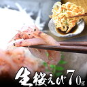 【新物】生桜海老(桜えび)700g 地元 静岡 駿河湾 大井川港 産 かき揚げ 海鮮丼に 初夏 夏ギフト 贈り物 お中元 海鮮グルメ お取り寄せ ご褒美 酒の肴 おつまみ