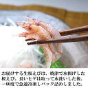 【新物】生しらす100g＆生桜えび70g 海鮮丼に！静岡 特産品食べ比べセット 春 新生活 母の日 ランキング ギフト プレゼント 手巻き寿司 海鮮丼