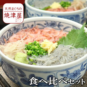 【静岡産生しらす】ぷりぷり食感！静岡県産の新鮮な生シラスのおすすめを教えて！