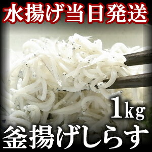 水揚げ当日ゆでたてを発送！ 静岡遠州灘産　 釜揚げしらす 1kg【ギフト】