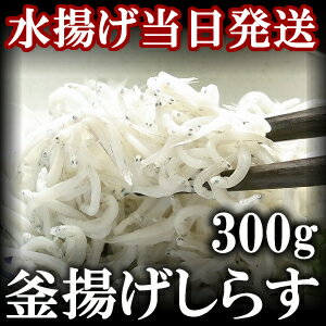 築地で一番評価の静岡遠州灘産　水揚げ当日発送 　釜揚げしらす 300g【ギフト】