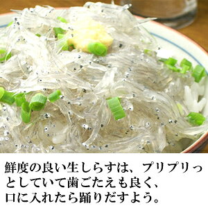 生しらす 1kg(100g 10個) 無添加 無漂白 海鮮丼 生しらす丼に！ 静岡 大井川港産 ...