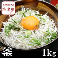 釜揚げしらす 1kg 業務用【送料無料】水揚げ当日ゆでたてを発送！ 静岡遠州灘産 沖...