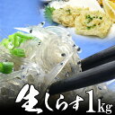 生しらす 1kg(100g 10個) 無添加 無漂白 海鮮丼 生しらす丼に! 静岡 大井川港産 母の日 2025 楽天 感謝 贈り物 海鮮グルメ ごちそう