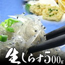 生しらす 500g 無添加 無漂白 送料無料 海鮮丼 生しらす丼に! 静岡 大井川産 母の日 2025 楽天 感謝 贈り物 海鮮グルメ ごちそう