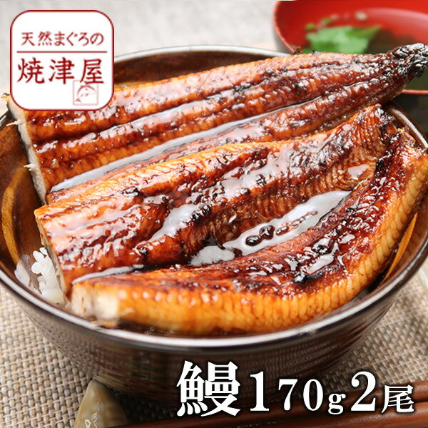 うなぎ 蒲焼き2尾（長焼き、1尾 約170g）静岡 焼津産【送料無料】北海道、沖縄へは700円加算 お中元 プレゼント 食べ物 海鮮 人気 ギフト おつまみ お取り寄せ 酒の肴