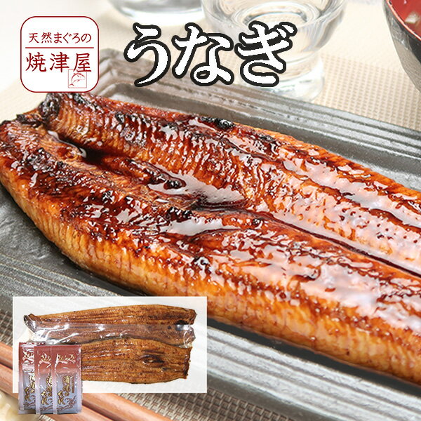 うなぎ 蒲焼き5尾（長焼き、1尾 約140g）静岡 焼津産【送料無料】沖縄へは700円加算 食品 おつまみ 食欲の秋 ギフト 海鮮 ランキング 人気 パーティーのサムネイル