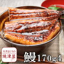 うなぎ 蒲焼き4尾(長焼き、1尾 約170g)静岡 焼津産【送料無料】北海道、沖縄へは700円加算