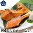 送料無料 国産 銀鮭 銀サケ 甘塩 切り身 5切れ 塩鮭 しゃけ シャケ 焼き魚 冷凍 塩焼き ご飯のお供 お弁当 酒のつまみ