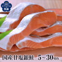 国産銀鮭 5~30切れ 鮭 銀鮭 甘塩銀鮭 銀鮭切り身 甘塩鮭切り身 魚 塩焼き ご飯のお供 お弁当 酒のつまみ 切り身 国産 美味しい 絶品 父の日 お中元 お歳暮 敬老の日 鮭ランキング1位獲得 三陸産 宮城県産