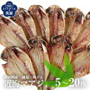 駿河湾産 近海真アジの干物 真鯵開き 5~20枚 手作り 天日塩仕様 減塩一夜干し 天日干し 酒のさかな ごはんのお供 朝食に 小ぶりでおいしい鯵