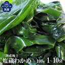 三陸産 極上 原藻生わかめ 湯通し塩蔵わかめ 100g 天然 無添加 シャキシャキ食感