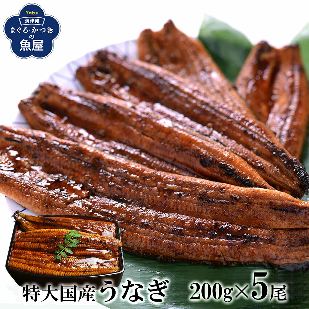 【送料無料】 特大うなぎ蒲焼 200g×5尾 たっぷり1kg【ギフト用包装いたします。】ウナギ 鰻 蒲焼き うなぎ 贈り物 ギフト プレゼント グルメ 父の日 お中元 お歳暮 土用丑の日 暑中見舞い 残暑見舞い 敬老の日ギフト
