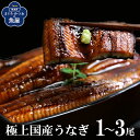 極上 国産 うなぎ 特大 200gx1〜3尾 鰻長焼 鰻蒲焼 タレ 山椒付き 特大サイズ 肉厚 ふっくら 柔らか 鰻丼 ふっくらジューシー!贅沢な味わいの高級う...