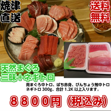 【送料無料】　焼津港直送天然まぐろ　まぐろ三昧＋ねぎとろ300g　贈り物　長寿祝いの宴に　寿司パーティー　海鮮丼　贈り物　お中元に　ギフト　お歳暮