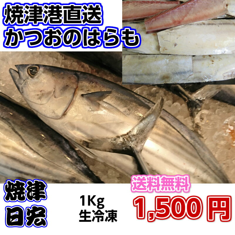 かつおのはらも　1Kg　送料無料で1,500円（税込み）釣り餌...