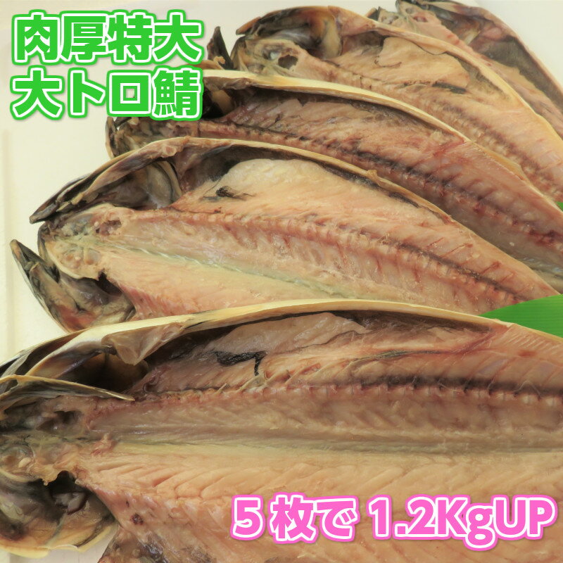 【送料無料】特大肉厚大トロ鯖5枚　天然無添加自然食品　さば一夜干し　美味しいとろサバ　さけのさかな　酒の肴　美味しい干物　ご飯のお供　鯖　BBQ用　ギフト用包装いたします。