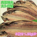 【w_fddl】特大肉厚大トロ鯖5枚　天然無添加自然食品　さば一夜干し　美味しいとろサバ　さけのさかな　酒の肴　美味しい干物　ご飯のお供　鯖　BBQ用　ギフト用包装いたします。