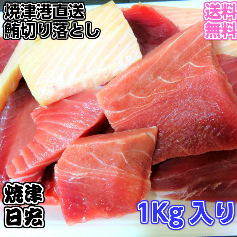 【送料無料】天然マグロ　鮪切り落とし1Kg 生食用　お刺身　マリネ　山かけ　オードブル　まぐろおさしみ　酒の肴　お酒のあて　焼津のまぐろ　鮪切り身　鮪は、血合い、骨、皮とりで、可食部100％です。基本美味しい赤身です。たっぷり1Kg