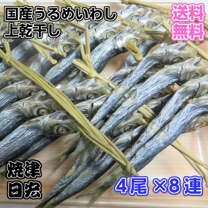 【送料無料】国産無添加うるめいわし上乾干し　酒の肴　日本酒にあう魚　イワシ丸干し　栄養満点　無添加自然食品　ウルメよく干してあります　日持ちします　昔なつかしのうるめ丸干し