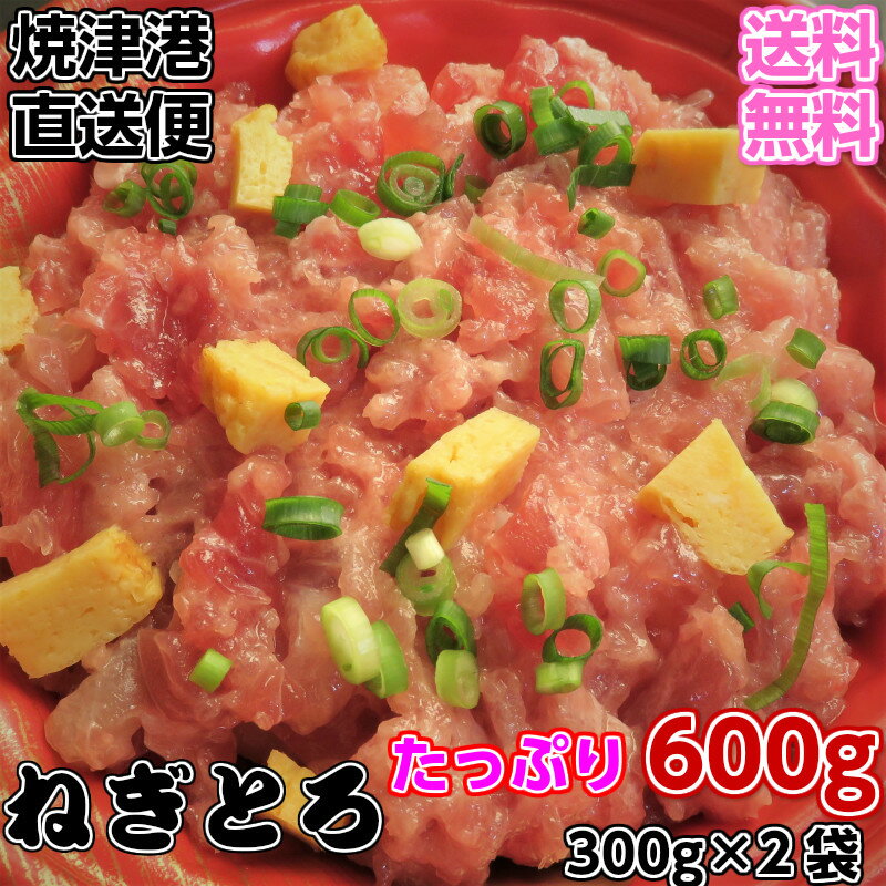 【送料無料】【鮪】【ネギトロ】【まぐろたたき】本場焼津のねぎとろ　たっぷり600g　丼6杯分　お刺身 ...