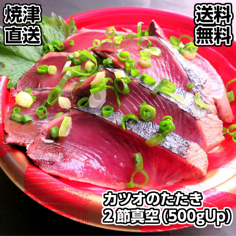 【送料無料】焼津港直送便 かつおのたたき 2節真空（500gUP)　カツオの本場焼津産　酒の肴　おつまみ　お酒のお供　お中元　お歳暮 ギフト用包装 熨斗対応 敬老の日ギフト