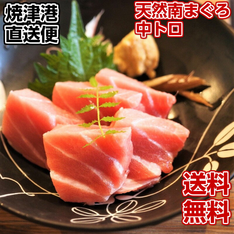 【送料無料】天然南マグロ中トロ400g　贈り物にどうですか　　【ギフトに】【焼津港直送】【天然まぐろ】酒の肴　海鮮丼　もてなしのお..