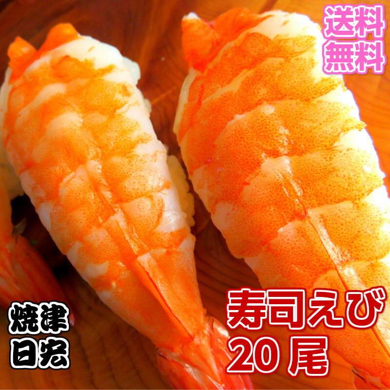 【送料無料】バナメイ種　寿司海老【寿司ネタ/お刺身/丼/手巻き/えび/海老/エビ/開き海老】【ギフト】 10cm以上あります。