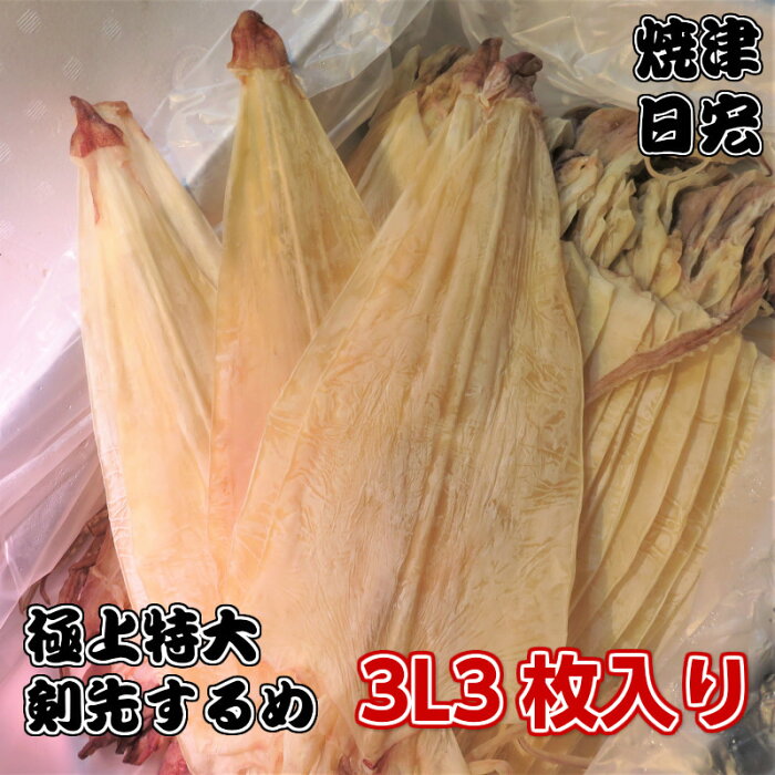 特大極上剣先するめ　剣先スルメ　貴重な3Lサイズ　無添加 天日干し 高級 剣先イカ あたりめ 干しスルメイカ けんさきするめ 干物 おつまみ珍味 ギフト 贈答品 酒の肴 乾き物 晩酌のツマミに 剣先イカ ビール 日本酒 焼酎にも合う万能ツマミ