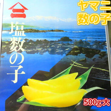 数の子のトップブランド 北海道 井原水産 ”ヤマニ 塩数の子” 大 約500g カナダ産 塩かずのこ 贈答用　ギフト　お歳暮　化粧箱入り お中元　酒の肴　高品質　グレード1