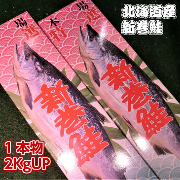 【送料無料】 北海道産新巻きサケ1尾 2KgUP 丸ごと1本物 化粧箱入 お歳暮　贈り物 お祝 お正月につきもの　北海道の味 絶品の新巻き鮭 塩焼き以外いろいろな料理に使えます　天然鮭