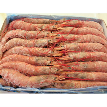 お中元【送料無料】【天然生食用赤えび2Kg】 特大サイズ L1サイズ Aグレード 生食用 BBQに 天然エビ 美味しいえび さけのさかなエビ お中元 お歳暮等 ギフトに もらって嬉しい贈り物 冷凍保存