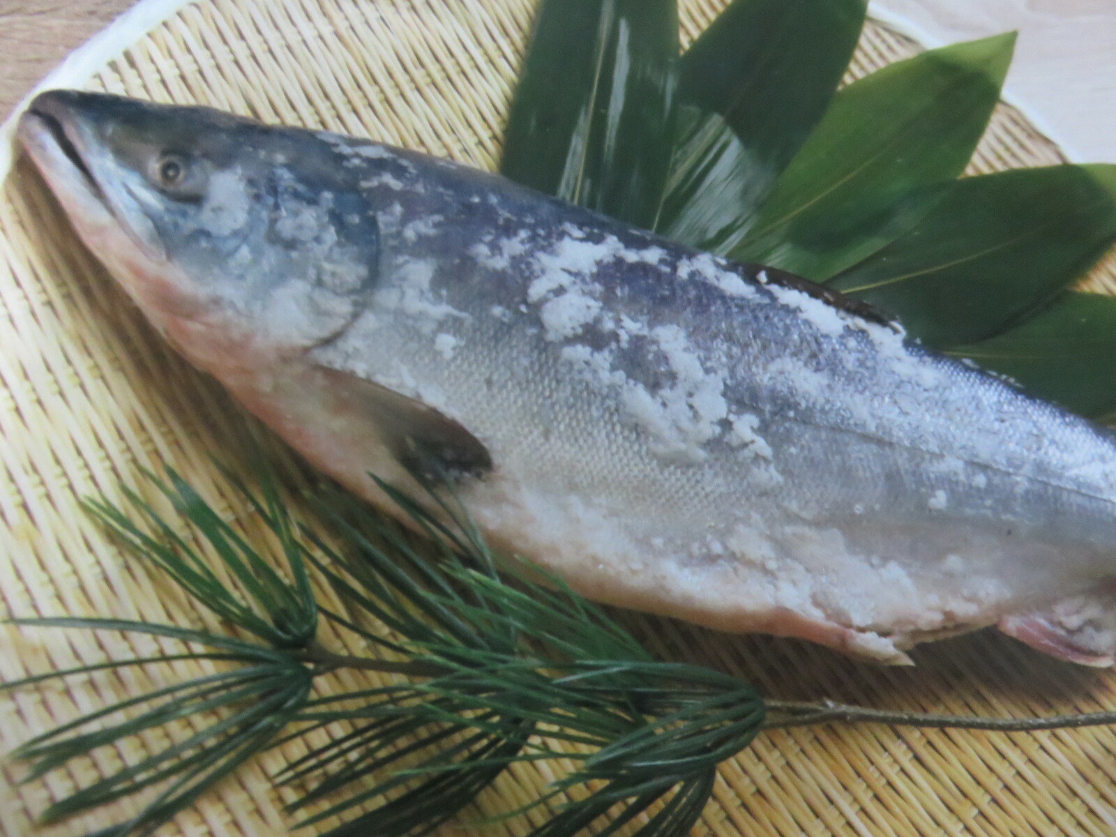 商品情報 名称 新巻きサケ（北海道産）1尾約1.5K保存方法 冷凍保存（-18℃以下）で60日、冷蔵庫で自然解凍、で2日 販売者 焼津港静岡県焼津市八楠4丁目13番地の7焼津さかなセンター株式会社ニッコーサービス北海道産　新巻鮭（秋鮭）一本物【約2.5~3キロ】 送料無料・化粧箱入 お歳暮　贈り物　お祝　お正月につきもの　北海道の味　絶品の新巻き鮭　丸ごと　塩焼き以外いろいろな料理に使えます天然鮭 北海道の新巻きサケ　1尾丸ごと　化粧箱入り　切り身希望OKです。無料でカット致します。 北海道産の天然秋鮭を厳選 北海道の代表的な海の幸である鮭の鮮度の決め手は、銀色に輝く鱗と、太くてしっかりとした体、そして厚みのある腹です。このような鮭が獲れる北海道東沖の秋鮭に限定し、美味しさが卵に取られていないオスの脂の乗った上質な鮭のみを厳選しています。 店長のミサキです。北海道の味覚を堪能できる丸ごと1尾です。程よい塩加減と秋鮭のうまみ、これが北海道の新巻きサケです。北海道産の鮮度の良い鮭を しっかりと塩で締め、味わい豊かに仕立てた逸品です。ぜひご堪能ください。　包丁がないので丸ごとは無理という人は、無料でカット致します。ただし1本物用の化粧箱には入りません。 1