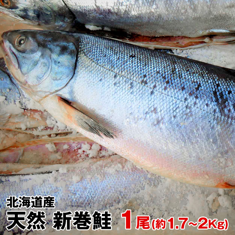 ギフト ご贈答品北海道産　天然物新巻鮭（秋鮭）一本物(約1.7Kg〜2Kg) 化粧箱入 お歳暮 お中元　贈り物　お祝　お正月につきもの　北海道の味　絶品の新巻き鮭 秋サケ あきあじ 秋あじ 丸ごと1本 国産鮭