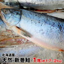 ギフト ご贈答品【送料無料】北海道産　天然物新巻鮭（秋鮭）一本物(約1.7Kg〜2Kg) 化粧箱入 お歳暮 お中元　贈り物　お祝　お正月につきもの　北海道の味　絶品の新巻き鮭 秋サケ あきあじ 秋あじ 丸ごと1本 国産鮭