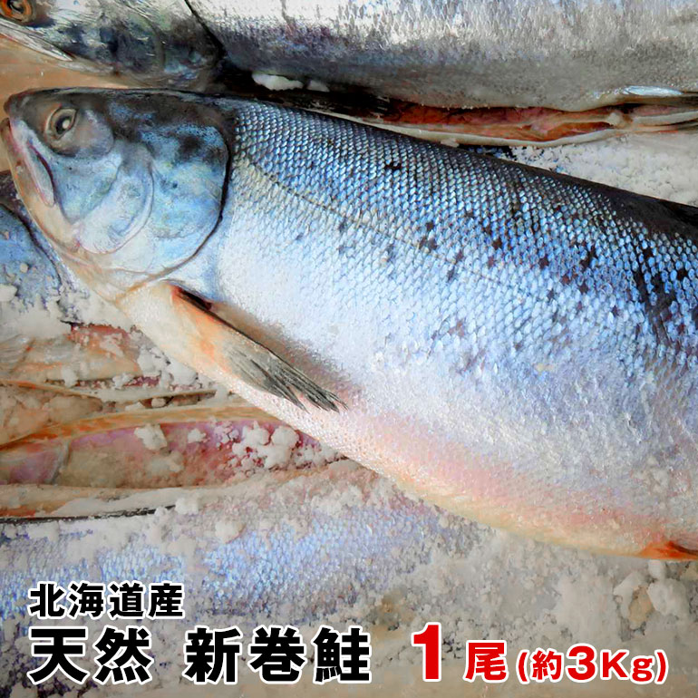 【送料無料】北海道産　天然物新巻鮭特大サイズ（秋鮭）一本物(約3Kg) オス限定 化粧箱入 お歳暮 お中元　贈り物　お祝　お正月につきもの　北海道の味　絶品の新巻き鮭