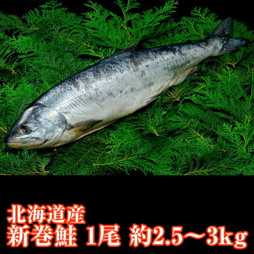 2021年新物入荷【送料無料】北海道産　新巻鮭（秋鮭）一本物【約2.5~3キロ】 化粧箱入 お歳暮 お中元　贈り物　お祝　お正月につきもの　北海道の味　絶品の新巻き鮭　丸ごと　塩焼き以外いろいろな料理に使えます　天然鮭 中辛塩