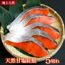 スーパーセール特売 送料無料 新物入荷 天然甘塩紅鮭 おためし 5切れ【紅鮭 紅サケ 紅鮭 切り身 甘塩 魚 塩焼き ご飯のお供 お弁当 酒のつまみ 天然 美味しい 絶品】