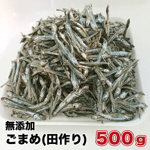 【送料無料】2025年度新物入荷 ごまめ(田作り)500g 自然食品 健康自然食品 カルシュームたっぷり おせちに 昔ながらの天日干し いわしの子ども 無添加いわし たずくり おせち料理 天然無添加