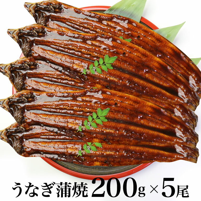 【送料無料】 特大うなぎ蒲焼 200gx5