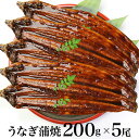 【送料無料】 特大うなぎ蒲焼 200gx5尾 たっぷり1K【ギフト用包装いたします。】ウナギ 鰻 蒲焼き うなぎ 贈り物 ギフト プレゼント グルメ 父の日 お...