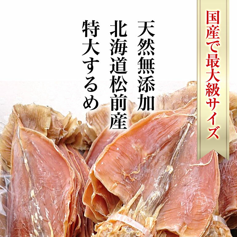 【送料無料】　特大するめ 北海道松前産 5枚入り 約500g 国産最大級サイズ 天日干し 最高級 極上肉厚　一夜干し するめ 珍味 おつまみ 乾物 あたりめ さきいか 海産物 酒の肴 干物　酒のお供　日本酒にあうつまみ　酒の肴　おやつ代わり　無添加食品　北海道松前産スルメ