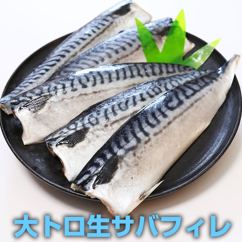 【送料無料】美味しい鯖　大トロ　生さばフィーレ 片身 5枚入り　みんな大好き 大トロさば　ごはんにあう魚　酒のつまみ　天然　ヘルシー食材　青魚　DHA　EPA　中性脂肪をさげる