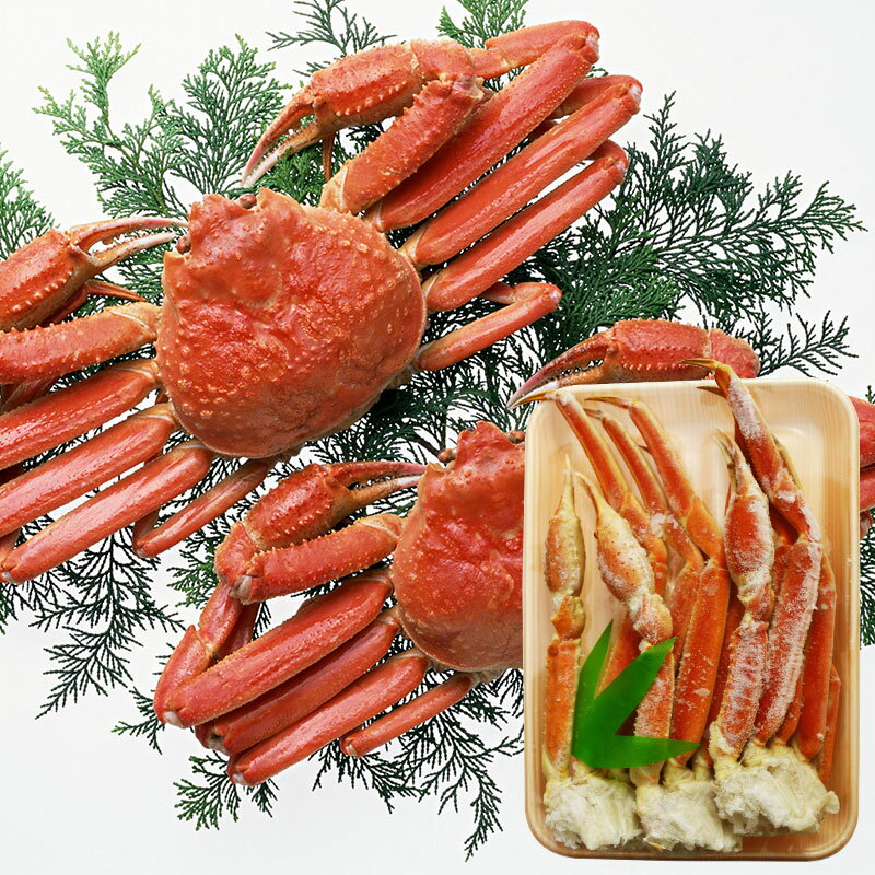 ܥ 磻 襤 2L 3 800g BBQ   ѡƥ ե £ʪ 